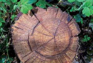 Folder overzicht boeken en opleidingen